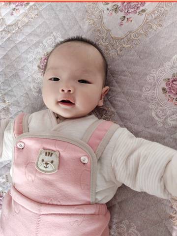 journal_insert_pic_1511082313