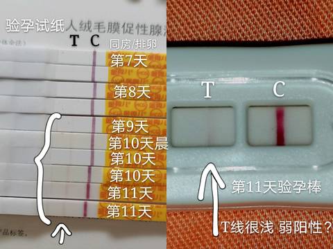 journal_insert_pic_1533752387
