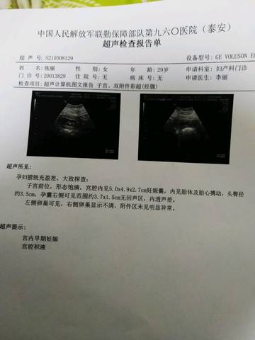 journal_insert_pic_1549112549