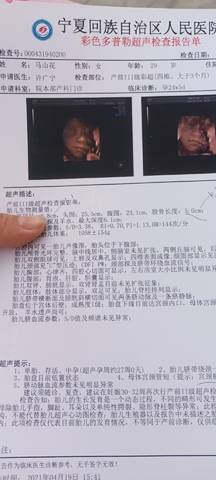 journal_insert_pic_1567173312