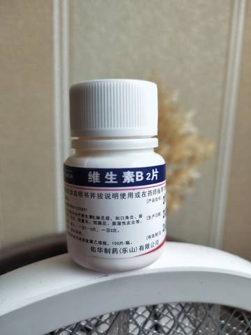 journal_insert_pic_1575095615