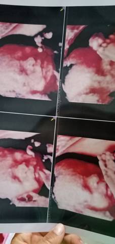 journal_insert_pic_1582027964