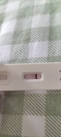 请问几次测验孕棒 都有二条 一条是白色是什么意思?怀孕了吗