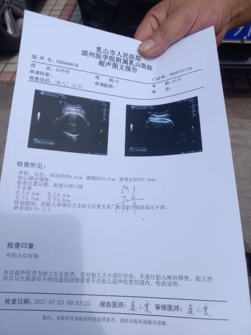 journal_insert_pic_1608148385