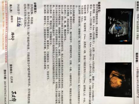 journal_insert_pic_1612417016