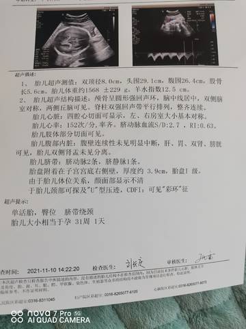 journal_insert_pic_1660561359