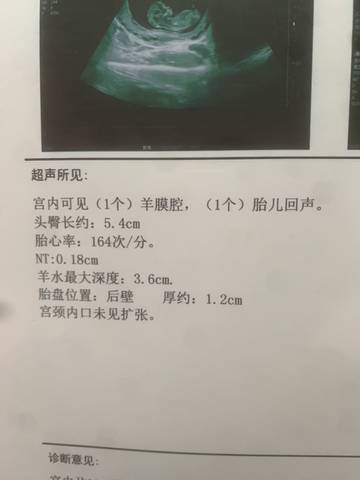 journal_insert_pic_1697967648