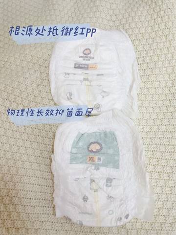 journal_insert_pic_1706909205