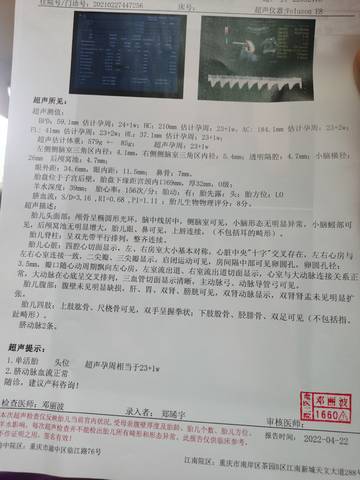 journal_insert_pic_1760369986