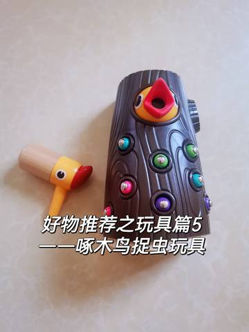 journal_insert_pic_1777350445