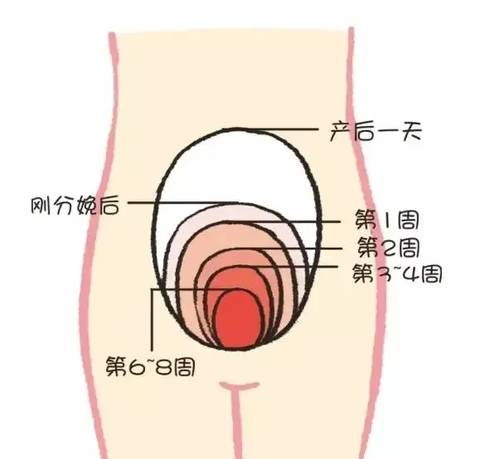 journal_insert_pic_1891338523