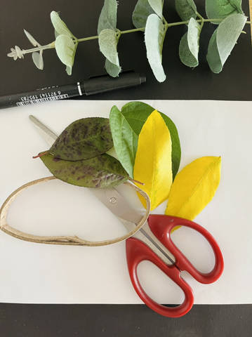 journal_insert_pic_1907909321