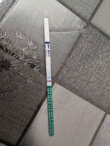 journal_insert_pic_2015770499