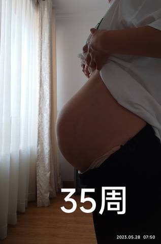 journal_insert_pic_2024269718