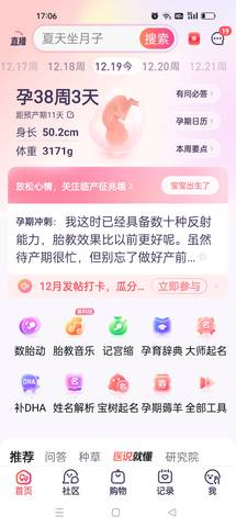 journal_insert_pic_4086333448