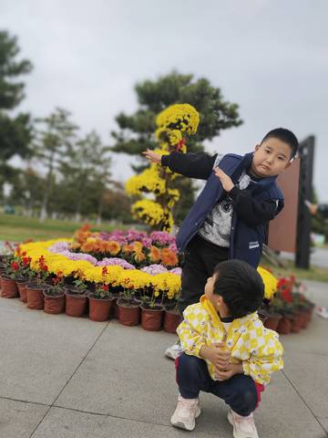 journal_insert_pic_4087877106