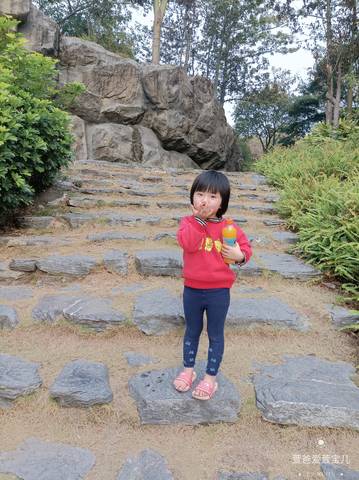 journal_insert_pic_4088757279