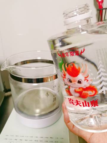 journal_insert_pic_4099010986