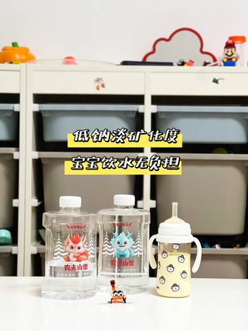 journal_insert_pic_4100030008