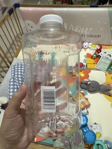 journal_insert_pic_4100695621