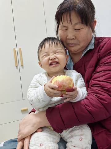 journal_insert_pic_4103106650