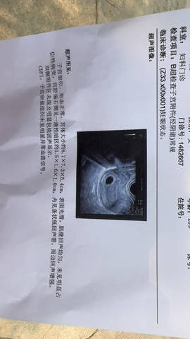 journal_insert_pic_4108796498