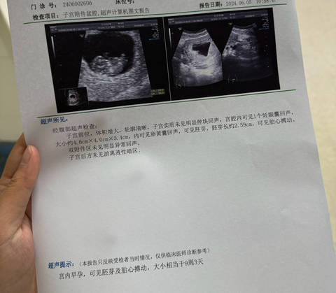 journal_insert_pic_4112593738