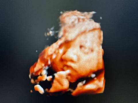 journal_insert_pic_4115710304