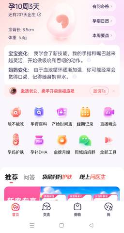 journal_insert_pic_4116769204