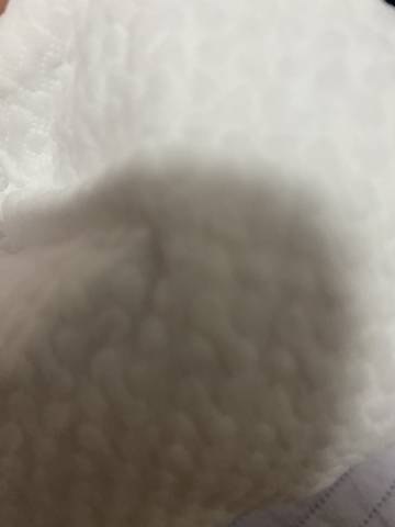 journal_insert_pic_4118524930