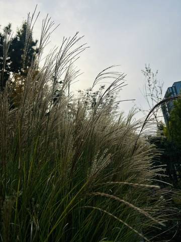 journal_insert_pic_4120904225