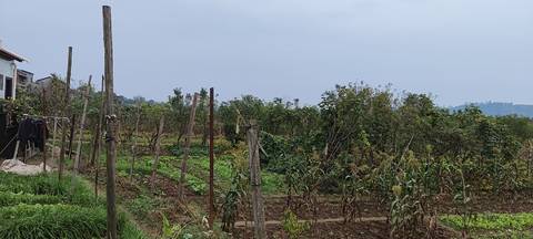 journal_insert_pic_4120901051