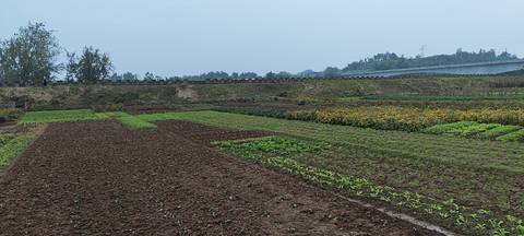 journal_insert_pic_4120901054