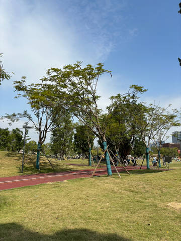 journal_insert_pic_4120934247