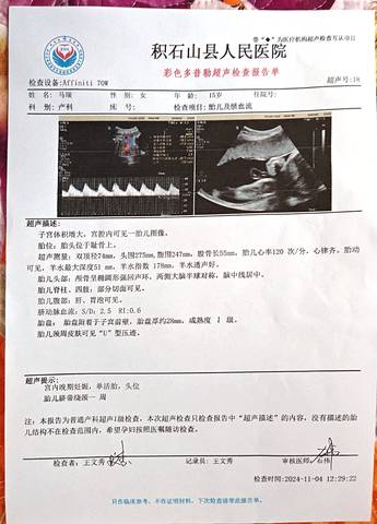 journal_insert_pic_4120957465