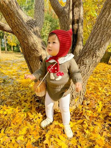 journal_insert_pic_4121273404