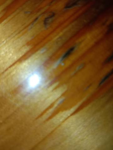 journal_insert_pic_4123060431