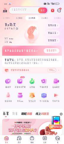 journal_insert_pic_4124285538