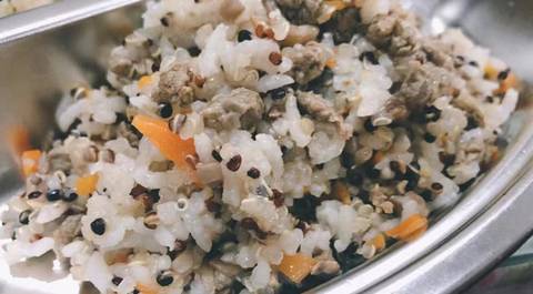 journal_insert_pic_4125444650