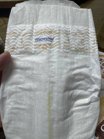 journal_insert_pic_4126558676
