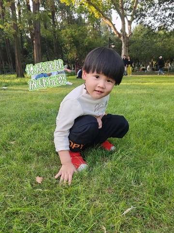 journal_insert_pic_4126816995
