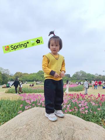 journal_insert_pic_4126816989