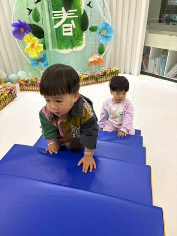 journal_insert_pic_4361074734