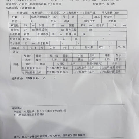 journal_insert_pic_4362718431