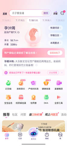 journal_insert_pic_4412024542