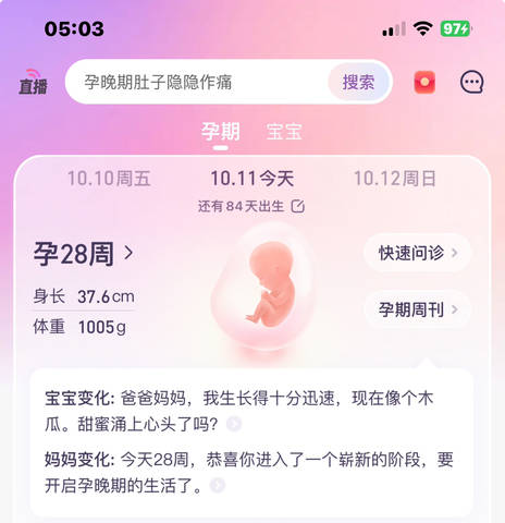 journal_insert_pic_4414379618