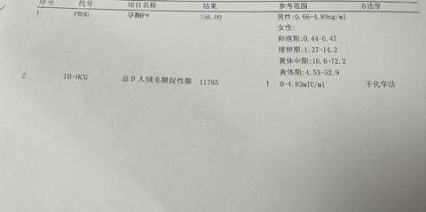 journal_insert_pic_4414875910