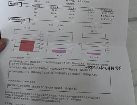 journal_insert_pic_4439380690