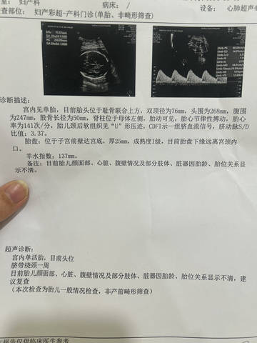 journal_insert_pic_4439538213