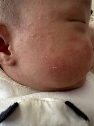 journal_insert_pic_4439712917